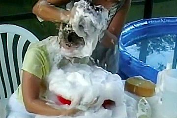 Hair Wash Afterthep