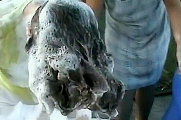 Hair Wash Afterthep