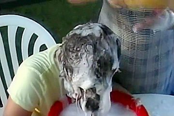 Hair Wash Afterthep