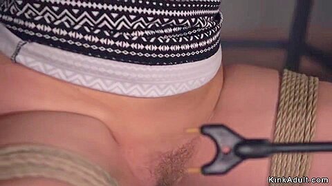 Harley Jade In Gagged Bosomy Dark Hair Girl Gets Anal Sex Fucked