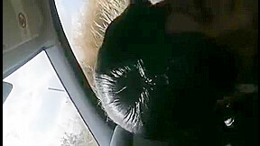 Headmistress Fucks In The Car
