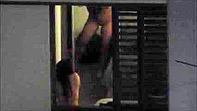 Hoyel Window 97