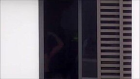 Hoyel Window 97