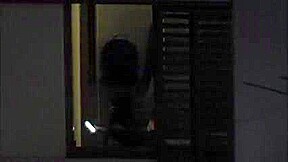 Hoyel Window 97
