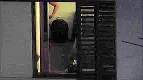 Hoyel Window 97