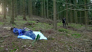 Ich Will Im Wald Ficken (ganzer Film)