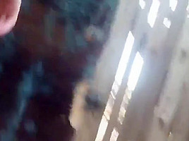 Incredible Lingerie, Brazilian adult scene