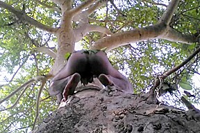 Indian tarzan boy sex in jungle wood