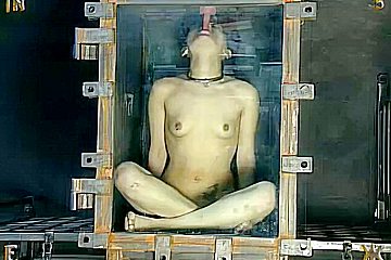 Insex 2003 - First Day