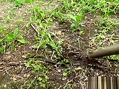 Japanese hos piss outside