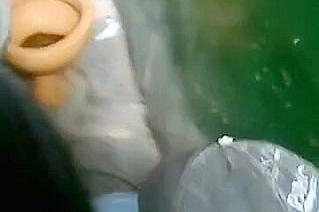 Latin hood teen 18+ slut sucking my dick