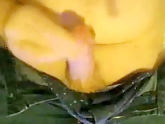 Me Jerking In Work