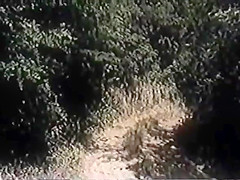 Moana Pozzi outdoor sex Valentina, ragazza in calore (1981)