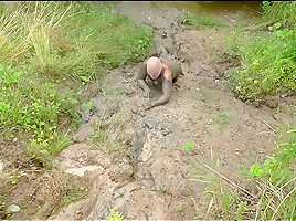 My muddy play  1
