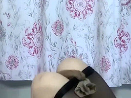 Nylon Bed Bound