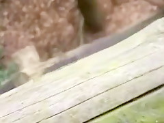 Pissing & jerking in the forest