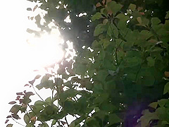 QXT895-XYTPJFXFFX292237322