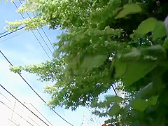 RBF975-MKVNLJGYPV528388887