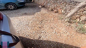 RISKY BLOWJOB IN THE BEACH PARKING - MAGICMINTCOUPLE