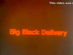 Retro Interracial 083