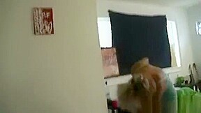 Sexy Sexy College Sluts Engulfing And Fucking For You