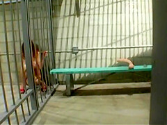 Slut In Prison Fucking A Girl