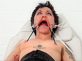 Split The Experiment 2