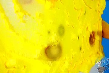 Spongebob Intercourse - Spongeknob Squarenuts With Skin Diamond