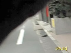 Street sharking with Japanese princess having her skirt taken masterly