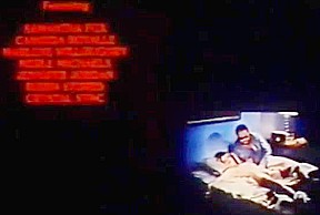 Suzanne Mcbain In Vintage Vhs Porn Trailers From The 1970s To The 1980s