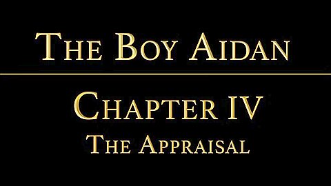 THE BOY AIDAN Chapter 3 - The Appraisal