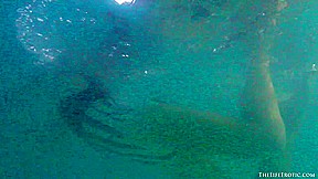 The Pool - Nastya C - TheLifeErotic