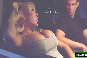 Tsgenderx com - Busty Trans Hitchhiker Barebacked By Stranger - Brittney Kade