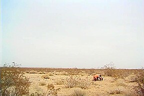 Two Hot Ladies Lick Pussy On The Beach!
