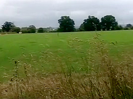 UK DOGGING WHORE: Filthy slut takes multiple loads both outdoors and indoor