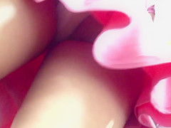Under skirts asian :44