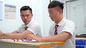 Wild Classroom 2: Test Studying