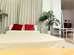 YLB509-ZIEXWDVCCI784949292