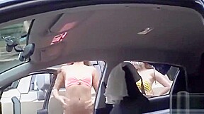 bi_42221