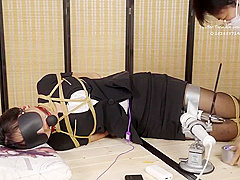 绿帽学院bondage And Vibrator