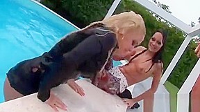 harlots make one horny guy a very favourable bastard