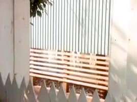 japanese bitch wife