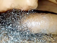 කලල පය එකට අයසකරම දල කව