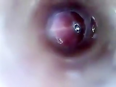 look inside cock endoscope with tube introducing cam deep