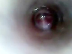 look inside cock endoscope with tube introducing cam deep