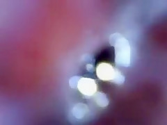 look inside cock endoscope with tube introducing cam deep