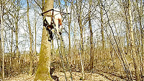 naked in a tree