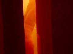 spy Step mom shower