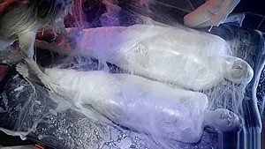 teen 18+ couple taken by aliens star in live sex shows