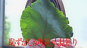 鈴村あいりノンストップ乱交wwwwwwwwwwwwwwwwwwwwwwwww